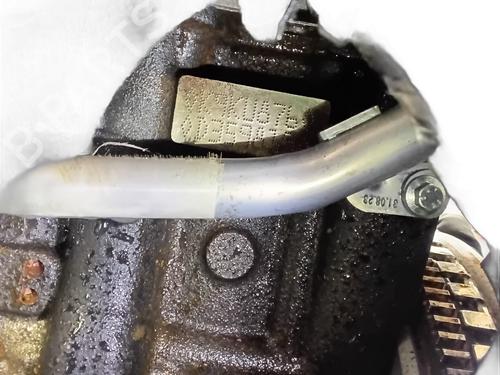 Engine RENAULT CLIO V (B7_) 1.5 Blue dCi 115 (B7AD) | BP32208245M1