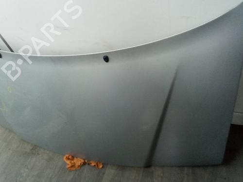 Hood PEUGEOT EXPERT (224_) 2.0 HDI 16V | BP19116844C1 
