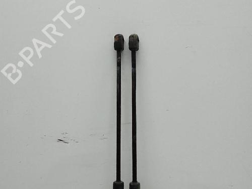 Tailgate lift support BMW X1 (E84)  | BP23452750C138 