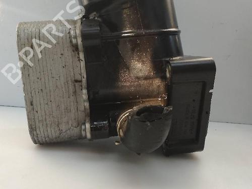 Oil radiator AUDI A3 (8P1)  | BP23452023M33 