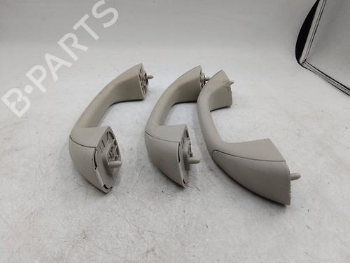 Interior roof handle DACIA SANDERO II 1.5 Blue dCi 95 (B8JL) | BP30192320I35 