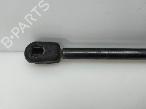Tailgate lift support LAND ROVER RANGE ROVER SPORT I (L320) 3.0 D 4x4 | BP22686690C138 