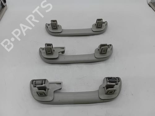 Interior roof handle RENAULT MEGANE III Hatchback (BZ0/1_, B3_) 1.5 dCi | BP29396519I35 