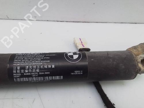 Tailgate lift support BMW X5 (F15, F85) xDrive 30 d | BP24121041C138