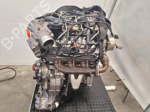 Engine AUDI A8 D3 (4E2, 4E8)  | BP24606956M1 