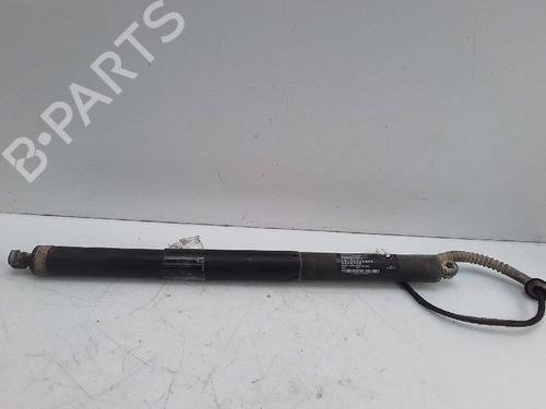 Tailgate lift support BMW X5 (F15, F85) xDrive 30 d | BP24121041C138