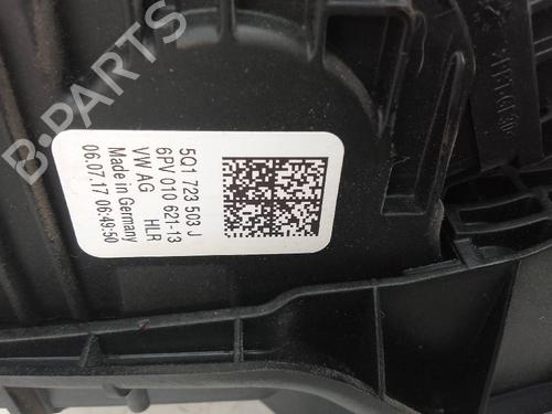 Used Pedal VW TIGUAN (AD1, AX1) 2.0 TDI (150 hp) 20932494