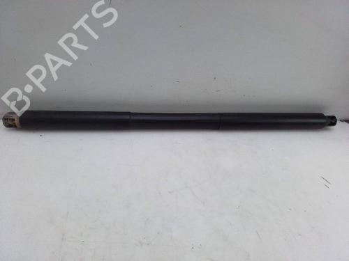 Tailgate lift support MERCEDES-BENZ GLE (W166) 250 d 4-matic (166.004) | BP18578084C138 