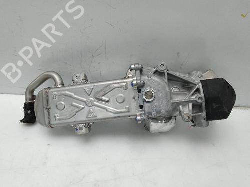 Used Egr VW POLO V (6R1, 6C1) [2009-2022]  24052328