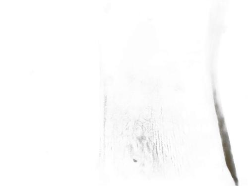 Other TOYOTA C-HR (_X1_)  | BP32020942O1 