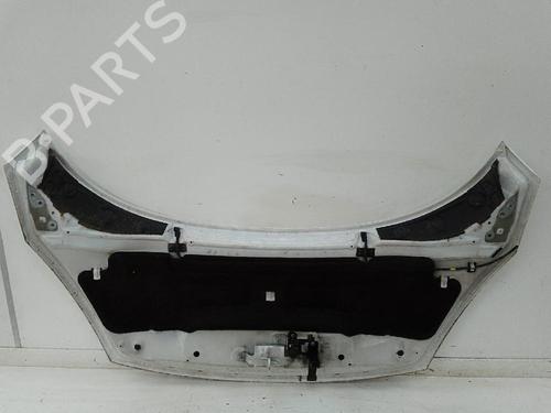 Hood RENAULT SCÉNIC III (JZ0/1_) 1.2 TCe | BP26593688C1