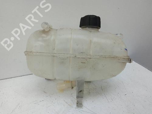 Expansion tank RENAULT TRAFIC III Van (FG_) 1.6 dCi 90 (FGME) | BP20115458C120 