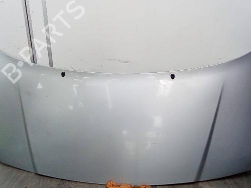 Hood PEUGEOT EXPERT (224_) 2.0 HDI 16V | BP19116844C1 