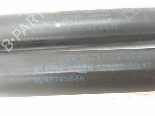 Used Tailgate lift support RENAULT KADJAR (HA_, HL_) 1.3 TCe 140 (HLNB, HLN1) (140 hp) 19137916