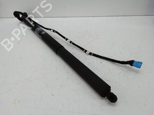 Used Tailgate lift support Tailgate lift support BMW X3 (F25) xDrive 20 d (190 hp) 19659060 19659060