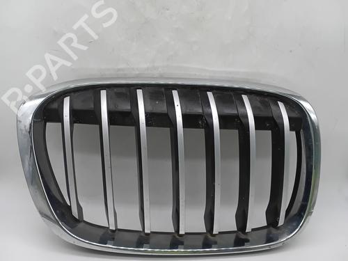 Grille BMW X1 (F48) sDrive 18 d | BP29764979C40 
