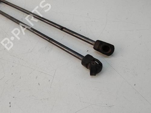 Tailgate lift support FORD C-MAX II (DXA/CB7, DXA/CEU) 1.0 EcoBoost | BP19116603C138 