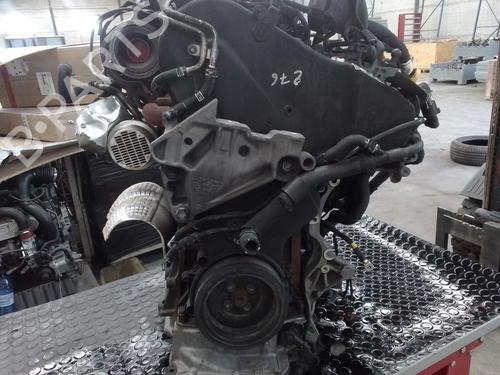Engine VW GOLF VIII (CD1, DA1) 2.0 TDI | BP28350563M1 