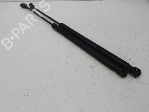 Used Tailgate lift support Tailgate lift support NISSAN MURANO II (Z51) 2.5 dCi 4x4 (190 hp) 19484411 19484411