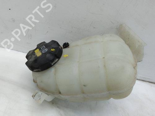 Expansion tank BMW 1 (F20) 120 d xDrive | BP25485396C120