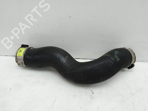 Pipe BMW 1 (F21) 116 d | BP24463798M125 