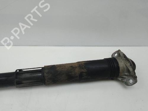 Used Right rear shock absorber VW TIGUAN (5N_) [2007-2018]  20504972