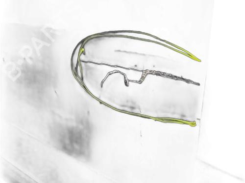 Right front door LAND ROVER DISCOVERY IV (L319) 3.0 TD 4x4 | BP31643307C3