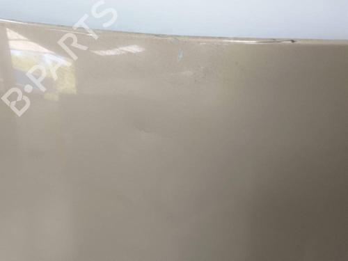 Hood NISSAN QASHQAI / QASHQAI +2 I (J10, NJ10, JJ10E) 2.0 dCi | BP19484658C1 