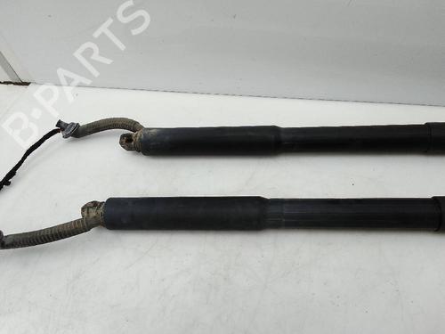 Tailgate lift support BMW 3 Touring (F31)  | BP21783379C138 