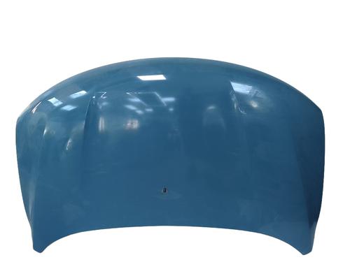 Hood DACIA SPRING Extreme | BP29995583C1 