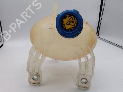 Used Expansion tank FIAT 500L (351_, 352_) 1.4 (199LYB1B) (95 hp) 28145762