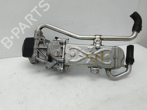 Egr SEAT IBIZA IV (6J5, 6P1)  | BP24052364M69 