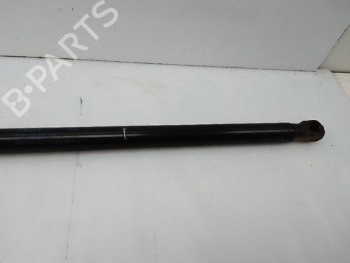 Hood lift support VW GOLF VII (5G1, BQ1, BE1, BE2)  | BP26232617C139 