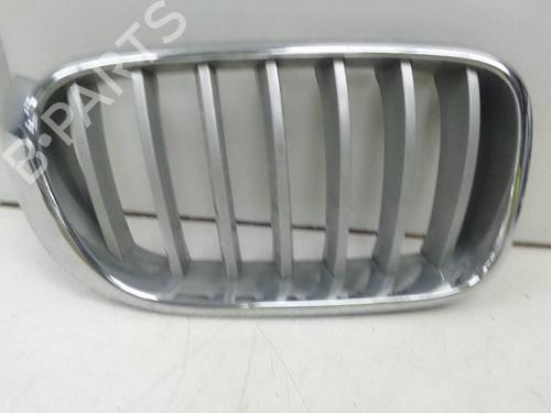 Used Grille BMW X3 (F25) xDrive 20 d (190 hp) 19659093