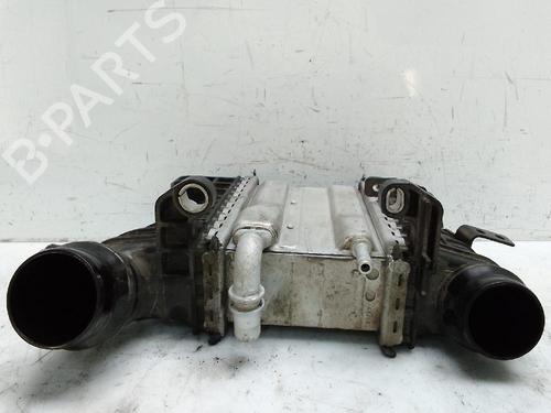 Other RENAULT EXPRESS Box Body/MPV 1.5 Blue dCi 75 (F6AA) | BP28008840O1 