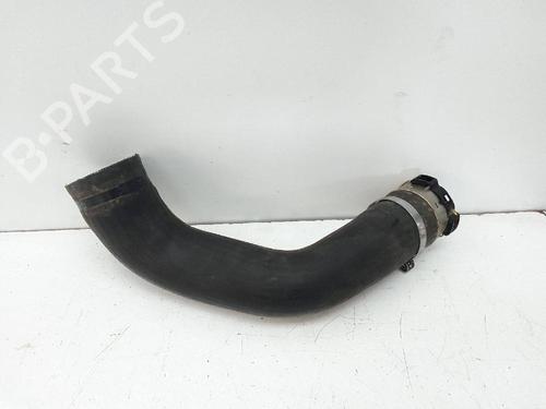 Pipe DACIA SANDERO II TCe 90 (B8M1, B8MA, B8AC) | BP18737499M125 