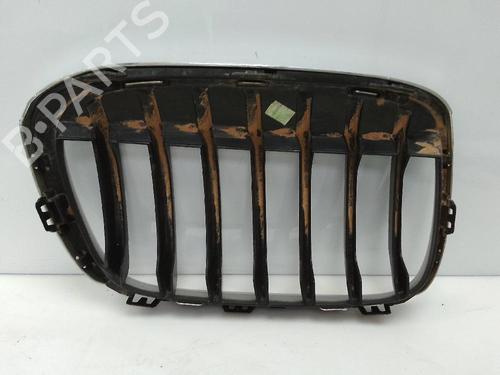 Grille BMW X1 (F48) sDrive 18 d | BP22332904C40 