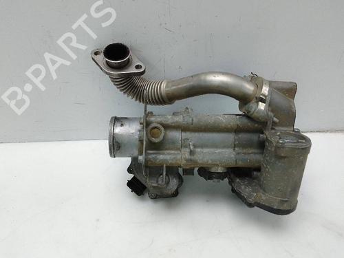 Egr NISSAN QASHQAI / QASHQAI +2 I (J10, NJ10, JJ10E) 2.0 dCi | BP24464638M69 