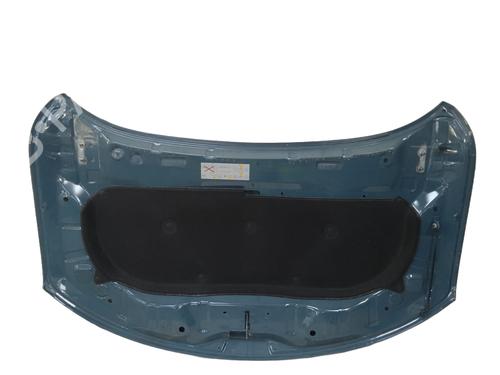Hood DACIA SPRING Extreme | BP29995583C1 