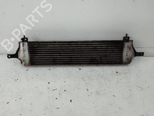 Intercooler NISSAN X-TRAIL III (T32_, T32R, T32RR) 1.6 dCi ALL MODE 4x4-i (NT32) | BP18737526M30 