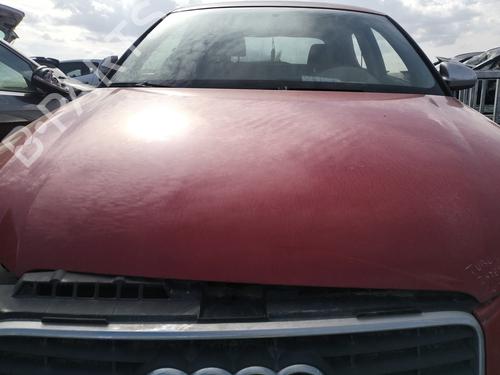 Used Hood AUDI A3 (8P1) 1.6 TDI (105 hp) 29605558