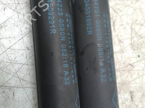Tailgate lift support RENAULT SCÉNIC IV (J9_) 1.6 dCi 130 | BP19658984C138 
