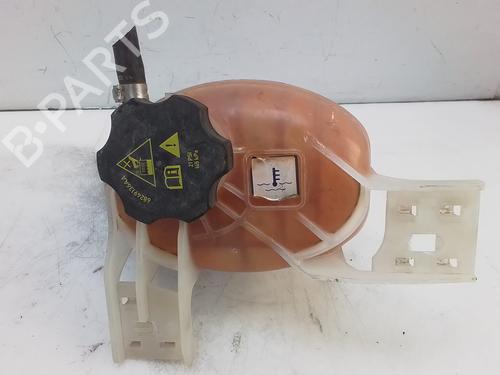 Expansion tank FIAT TIPO Hatchback (356_, 357_) 1.4 (356HXA1B, 357) | BP29129337C120 