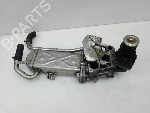 Egr SEAT IBIZA IV (6J5, 6P1)  | BP24052364M69 