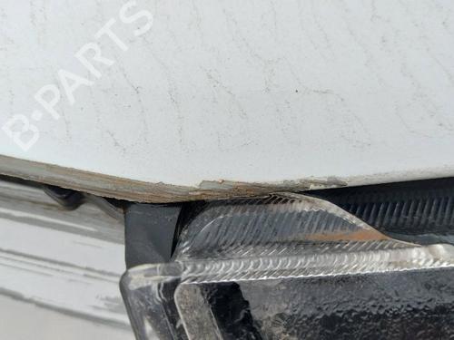 Used Hood FORD KUGA II (DM2) 1.5 TDCi (120 hp) 18590611