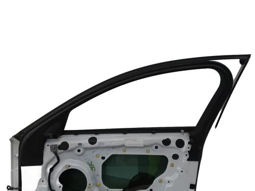 Right front door RENAULT SCÉNIC IV (J9_) 1.6 dCi 130 | BP32339240C3 