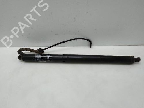 Tailgate lift support BMW X5 (F15, F85) xDrive 30 d | BP23142338C138