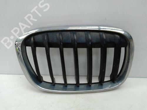 Grille BMW X1 (F48) sDrive 18 d | BP22332907C40 