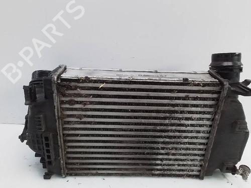 Used Intercooler RENAULT TALISMAN (LP_) 1.6 dCi 130 (130 hp) 23653808