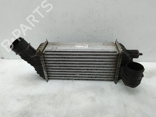 Intercooler PEUGEOT 3008 I MPV (0U_) 2.0 HDi 150 / BlueHDi 150 | BP27494600M30 